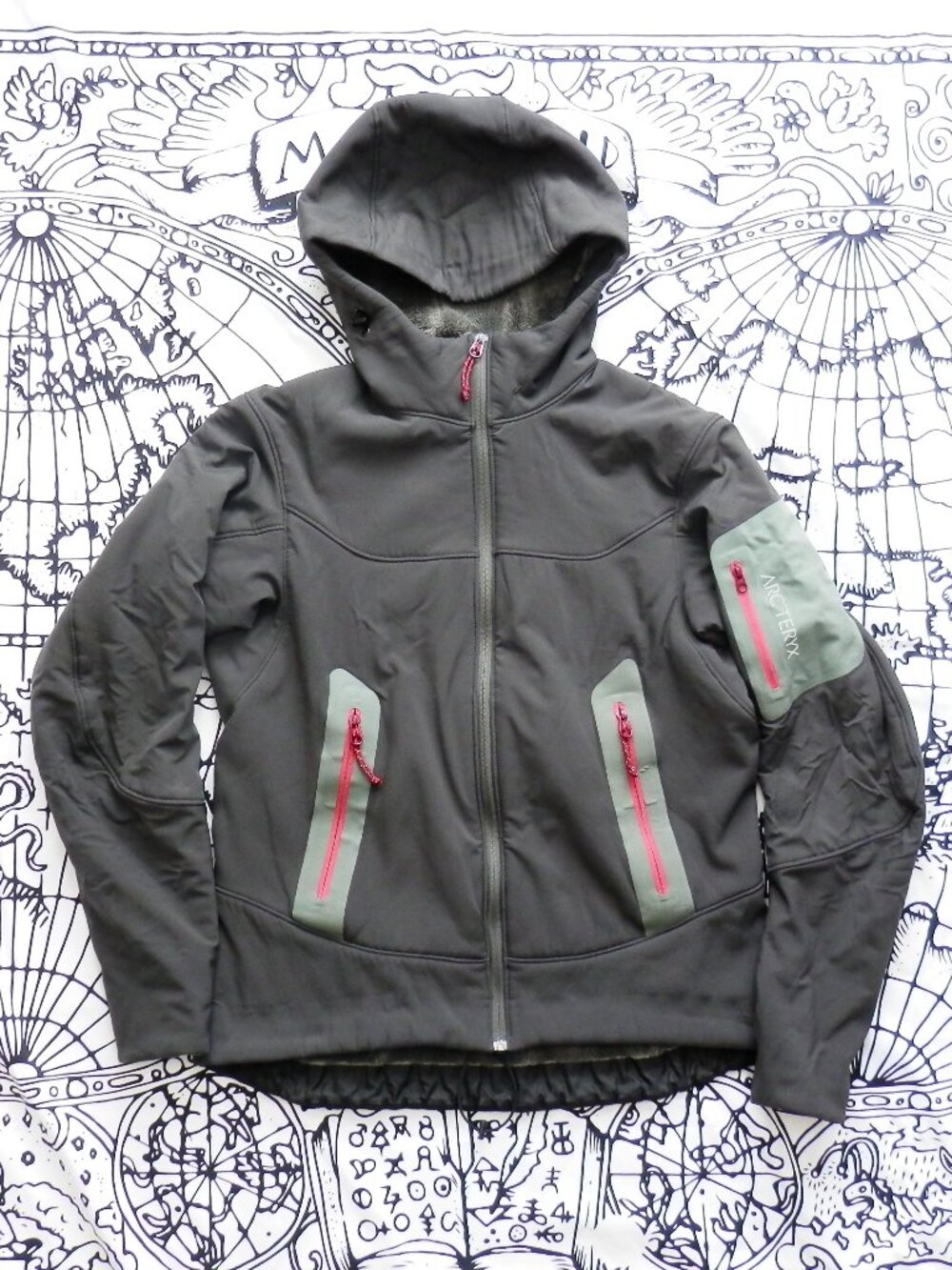 Arc’teryx || Women's Hyllus Softshell Hoody Fleece-lined Jacket